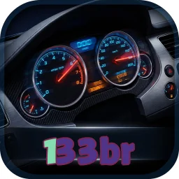 133br