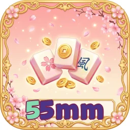 55mm