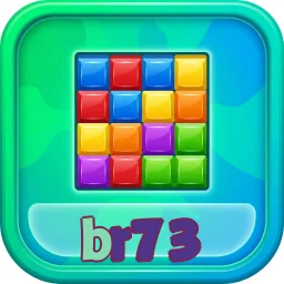 br73