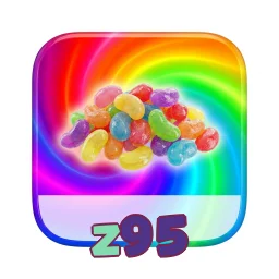 z95